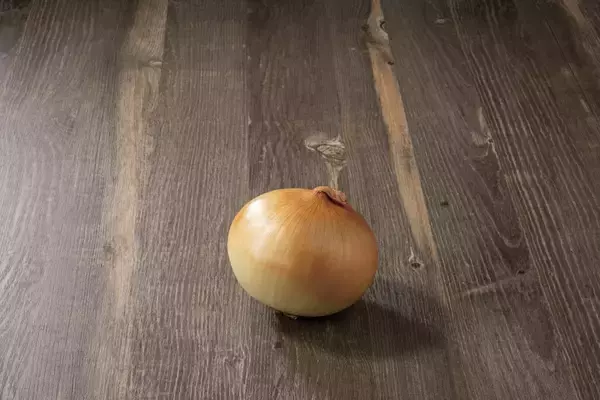 「人気ラーメン店「飯田商店」店主監修　味噌らぁ麺～五重(いつつがさね)の味噌2025年1月9日(木)～期間限定販売開始」の画像