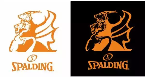 「音楽、カルチャー、エクストリームスポーツの日本最大級規模の祭典“CHIMERA GAMES（キメラゲームス）vol.10”にスポルディングが協賛」の画像