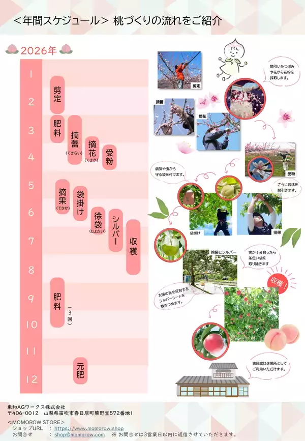 「【毎年好評の体験型企画】山梨の桃農園で「桃の木オーナー」になりませんか？家族や仲間と楽しむ農業体験、2026年度オーナー募集開始（申込締切：4月30日）」の画像
