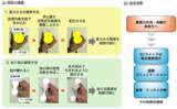 「世界初、柔らかさや粘り気を触らずに伝える錯覚手法を考案 ～身近なデバイスで遠隔地に質感を伝え、体験価値向上に寄与～」の画像1