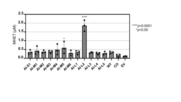 「DNA言語に対する生成AI基盤モデルを開発　オーソログ進化パターンに基づく遺伝子配列再設計で異種生物での高発現を可能に  ～バクテリアのプラスチック分解能力を最大約10倍向上～（北里大学）」の画像
