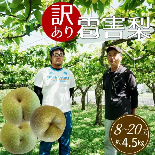 「雹被害梨農家の応援につながる訳ありお礼品が「さとふる限定」で登場！」の画像
