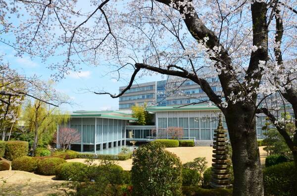 駒澤大学が深沢キャンパスの庭園を4月8日まで一般開放 落ち着いた雰囲気の中で桜を鑑賞 15年4月1日 エキサイトニュース