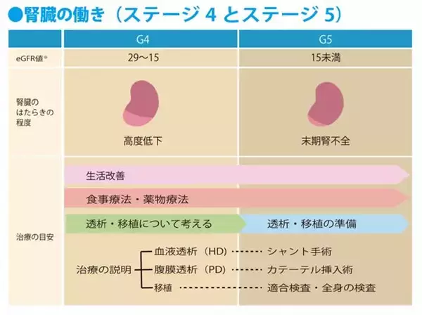 【あなたの腎臓疾患の状態を知る】透析を準備する：慢性腎臓病（CKD）ステージ4～5のときに気をつけること