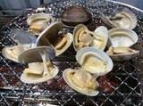 「海鮮料理の「木更津ＫｉＳＡＲＡ」 『あさりとホンビノス貝の浜焼き食べ放題』を開始！ ～ペットと一緒に浜焼きが楽しめるテラス席も～」の画像1