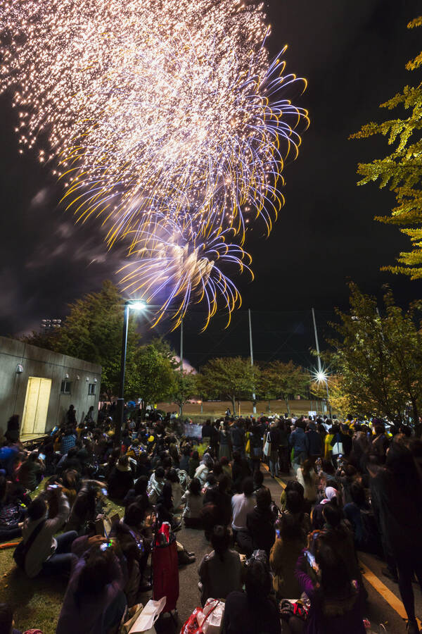 個性豊かな作品に出合える3日間 多摩美術大学の秋の祭典 芸術祭 17年10月21日 エキサイトニュース