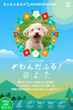 「あなたの愛犬が、今日のお散歩天気をお知らせ！「アイムス（ＴＭ） わんぽウェザー」サービスの提供を開始！」の画像4