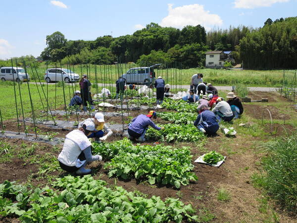 食を通じてアクティブラーニング 川村学園女子大学 18年4月5日 エキサイトニュース