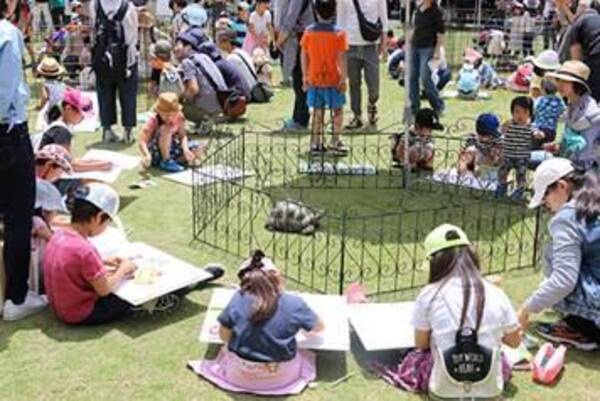大学に動物園が１日限定オープン 大阪成蹊大学が6月3日に地域交流イベント 動物とふれ合う写生会 を開催 18年5月17日 エキサイトニュース