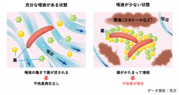 「舌が白いと口臭が発生⁉ 舌苔の除去方法をチェック」の画像