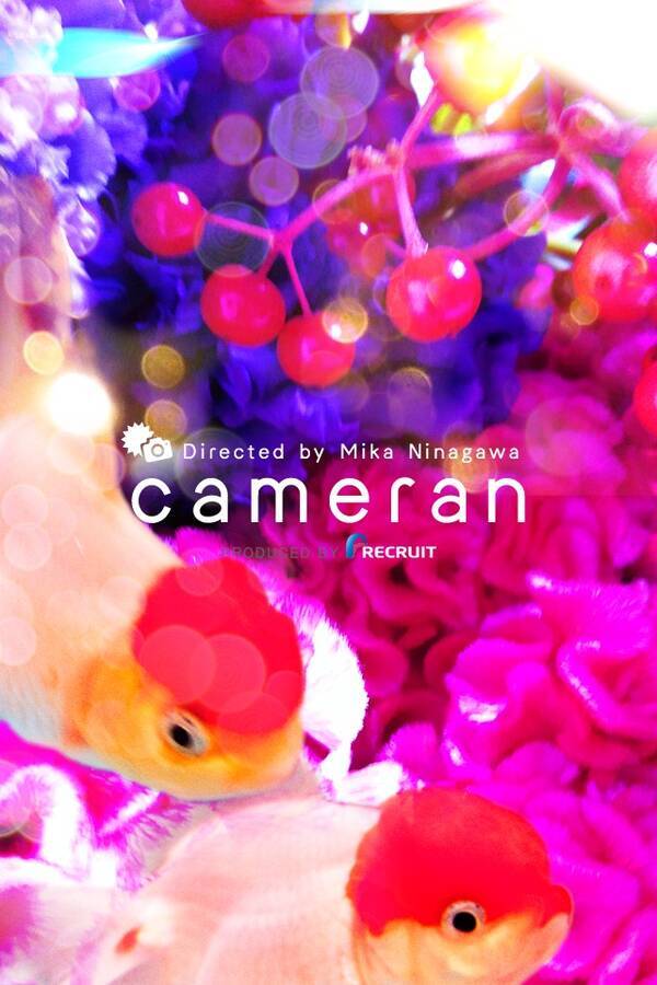 10日で100万dlの蜷川実花監修カメラアプリ Cameran 季節フィルター第1弾 クリスマス向け Ornament など4種のフィルターを追加 12年11月26日 エキサイトニュース