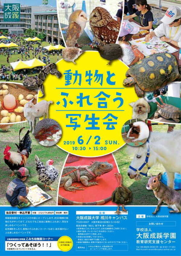 大阪成蹊大学の構内に移動動物園を1日限定オープン 動物とふれ合う写生会 を開催します 19年5月16日 エキサイトニュース