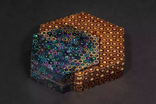 「電光装飾 ーCyber Effectー 池田晃将　漆芸展」の画像