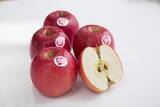 「【ホワイトデーや送別の贈り物におすすめ】日本で44名しか栽培できない林檎 「ピンクレディー」を使用したジャム＆チョコのギフトセットを限定発売！」の画像2
