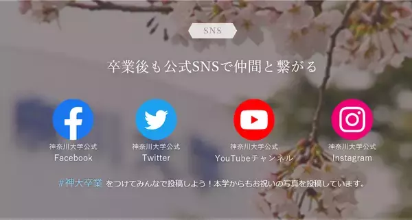 「【卒業おめでとう】さまざまな形でお祝いの気持ちを贈ります」の画像