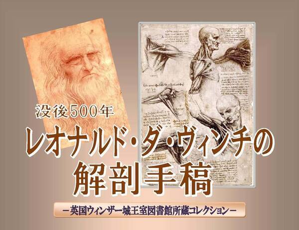 聖徳大学が レオナルド ダ ヴィンチの解剖手稿 英国ウィンザー城王室図書館所蔵コレクション を開催中 解剖学に関するデッサン等を一般公開 年3月26日 エキサイトニュース