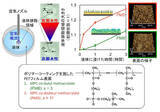 「生体接触型医療機器コーティング材料の新しい評価法 -- ポリマーコーティングの2段階の水和挙動を簡単に検出 --」の画像1