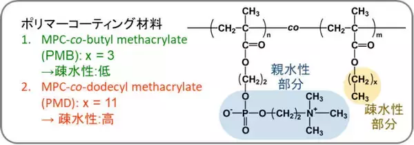 「生体接触型医療機器コーティング材料の新しい評価法 -- ポリマーコーティングの2段階の水和挙動を簡単に検出 --」の画像