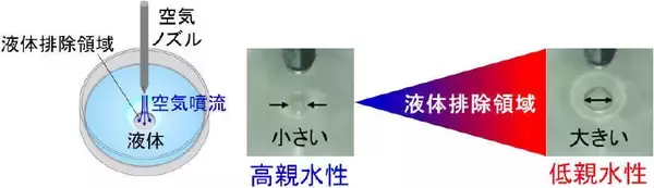 「生体接触型医療機器コーティング材料の新しい評価法 -- ポリマーコーティングの2段階の水和挙動を簡単に検出 --」の画像