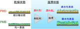 「生体接触型医療機器コーティング材料の新しい評価法 -- ポリマーコーティングの2段階の水和挙動を簡単に検出 --」の画像6