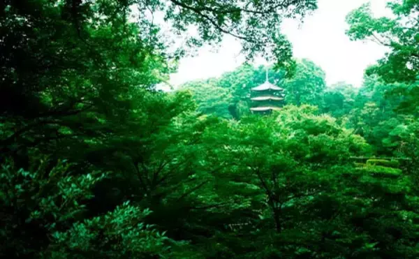 「近場」×「安全」×「オープンエア」自然に触れ、心も体もリフレッシュ