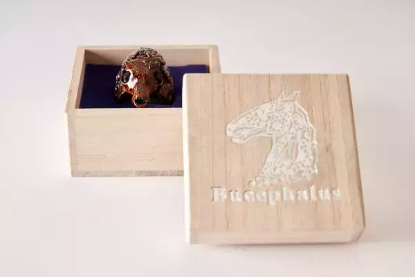 伝統工芸×3Dプリントジュエリーから、スイマーのフォームを矯正するパドル開発まで