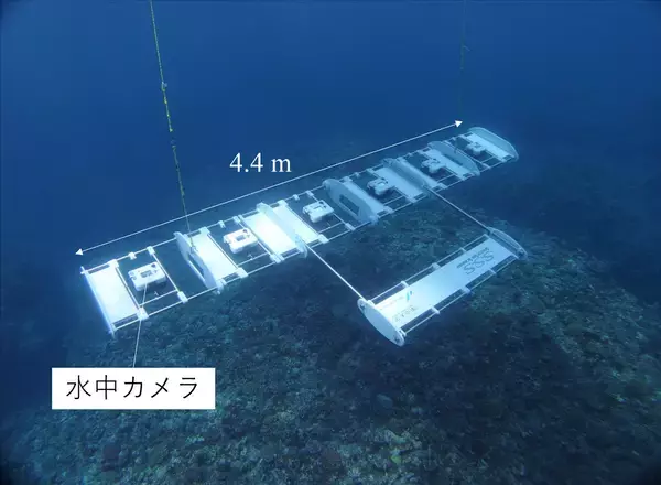 世界で最も効率的なサンゴ分布調査ツール(Speedy Sea Scanner)を開発 ―80日かかる海底調査を1日で―