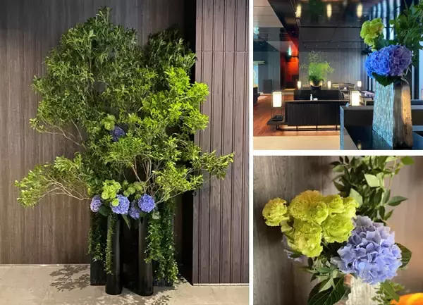 「フラワーロス」に悩む花農家を応援『フラワー エール プロジェクト』開始「三井ガーデンホテル日本橋プレミア」ほか計5ホテルを、ロスフラワーでフラワーコーディネート