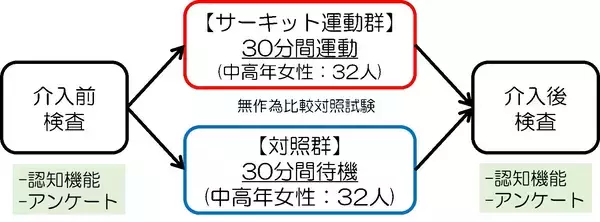 「30分のサーキットトレーニングをたった１回実施しただけでも“認知機能（抑制能力）”と“活力”が即時に向上！東北大学加齢医学研究所、株式会社カーブスジャパン共同研究結果　」の画像