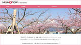 「桃を初収穫！スマート農業への挑戦の一環として桃づくり・農園運営に取り組んでいる「東和AGワークス（株）」が桃の初出荷を記念してホームページをリニューアル公開」の画像2