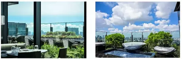 「フォーシーズンズホテル東京大手町 地上200ｍの空中庭園を第一園芸が作庭」の画像