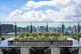 「フォーシーズンズホテル東京大手町 地上200ｍの空中庭園を第一園芸が作庭」の画像5