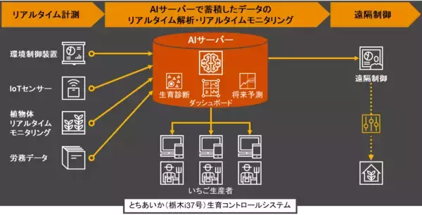 PwCあらた、栃木県の「AIいちご生産イノベーションモデル創出事業」にて「とちあいか（栃木i37号）」の生産性向上支援を開始