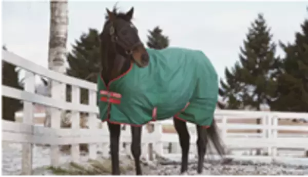 「『nepia 鼻セレブティシュ　華麗なる名馬シリーズ 第14弾』　親子ダービー馬「ネオユニヴァース」と「ロジユニヴァース」をパッケージに採用」の画像