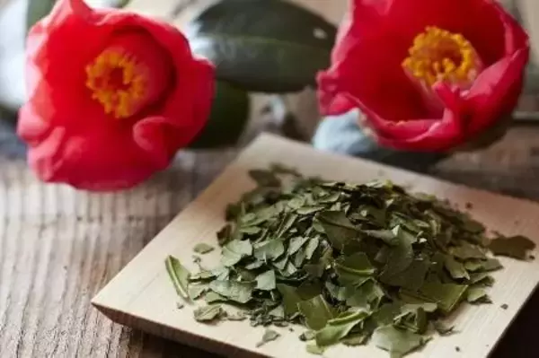 「【ホテル椿山荘東京】「椿茶」を2月8日からショップ・オンラインで提供開始」の画像