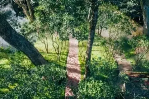 「【ホテル椿山荘東京】「椿茶」を2月8日からショップ・オンラインで提供開始」の画像