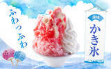 「一貫氷を使ったかき氷『綿雪』を全店舗で販売開始！北海道産の「赤肉メロン」や「余市ぶどう」など、新フレーバーが登場～４月７日（水）より 全店で開催～」の画像1