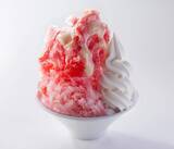 「一貫氷を使ったかき氷『綿雪』を全店舗で販売開始！北海道産の「赤肉メロン」や「余市ぶどう」など、新フレーバーが登場～４月７日（水）より 全店で開催～」の画像2