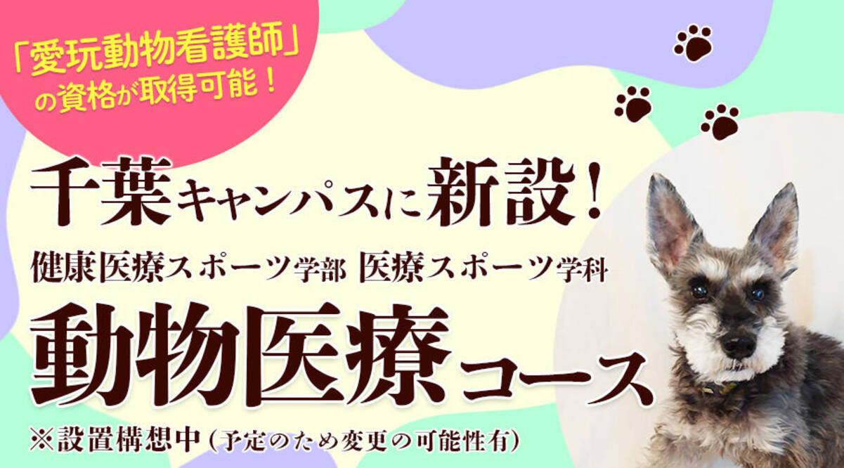 帝京平成大学が22年度から千葉キャンパスに動物医療コースを設置 新しい国家資格 愛玩動物看護師 に対応したカリキュラムをスタート 21年4月27日 エキサイトニュース