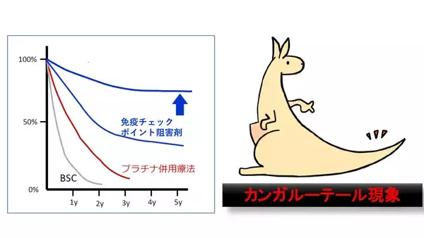 5/18オンライン記者会見の開催のお知らせ：医師主導治験に付随した探索的研究の実施を目的としたクラウドファンディングの実施について