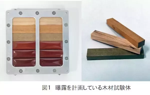 京都大学と住友林業　世界初の木材の宇宙曝露実験2023年木造人工衛星(LignoSat)の打上げを目指して