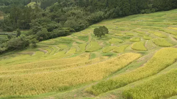 「【旅サラダ】八乙女光が千葉・房総半島へ！！海外の旅はスイス・チューリッヒをご紹介！」の画像