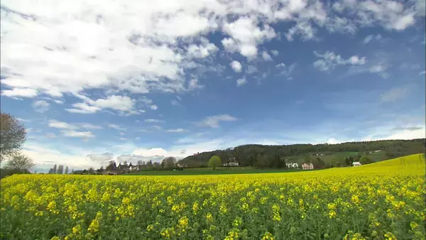 「【旅サラダ】八乙女光が千葉・房総半島へ！！海外の旅はスイス・チューリッヒをご紹介！」の画像