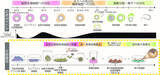 「雄性生殖細胞の全分化過程の試験管内再構成に成功　―ES細胞から精子まで全過程を体外で誘導する―」の画像1