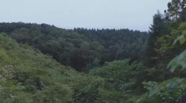 「資生堂、岩手県、住友林業で三者協定を締結　「BAUM　オークの森」での植樹活動をサポート」の画像