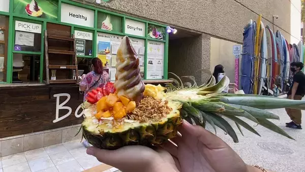 「【旅サラダ】羽田美智子が自然豊かな霧島連山で森林セラピー！佐多岬からの絶景に心を奪われる」の画像