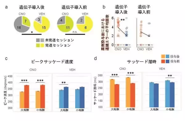 「【玉川大学脳科学研究所 研究成果】「我慢」を担う脳内機能を因果的なレベルで特定に成功！　前頭前野-線条体経路が抑制コントロール機能を担うことを解明　-- マカクザル大脳での化学遺伝学2重遺伝子導入法を用いた実証的成果 --」の画像