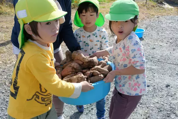 「【ニュースレター】子どもたちが育てた各種食材を社員食堂に提供」の画像