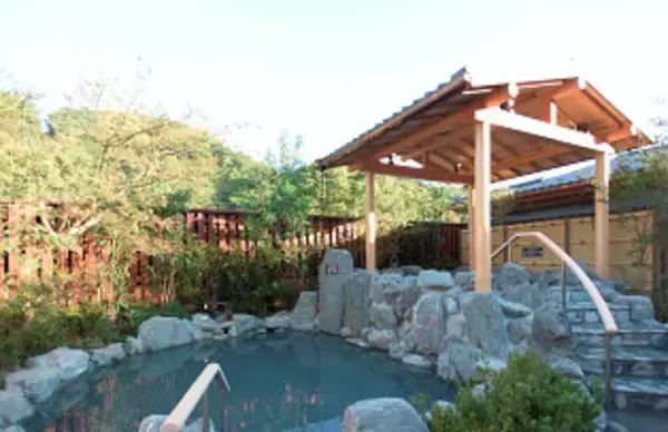 【新宿ワシントンホテル】京王高尾山温泉/極楽湯入館券付き宿泊プラン販売