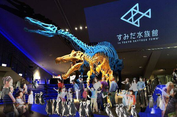 すみだ水族館 世界三大恐竜博物館の 福井県立恐竜博物館 と初コラボレーションイベント きょうりゅうすいぞくかん を開催 14年6月16日 エキサイトニュース